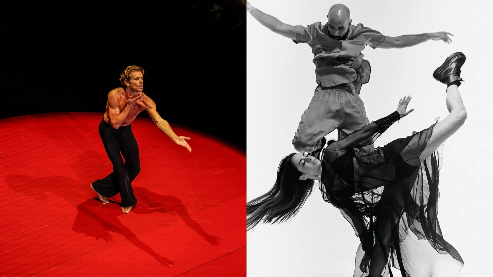 CENA SPETTACOLO 8 AGOSTO 2026 (Adulto, Onnivoro)